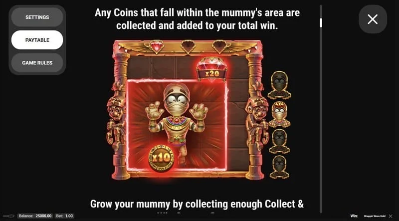 Wrappin' More Gold - gluggi með reglum og upplýsingum um leikinn